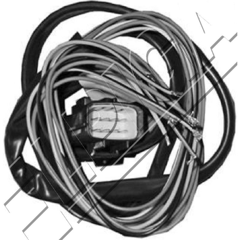 Insertion disconnection harness petrol sequence Stella 4 cyl. Universal