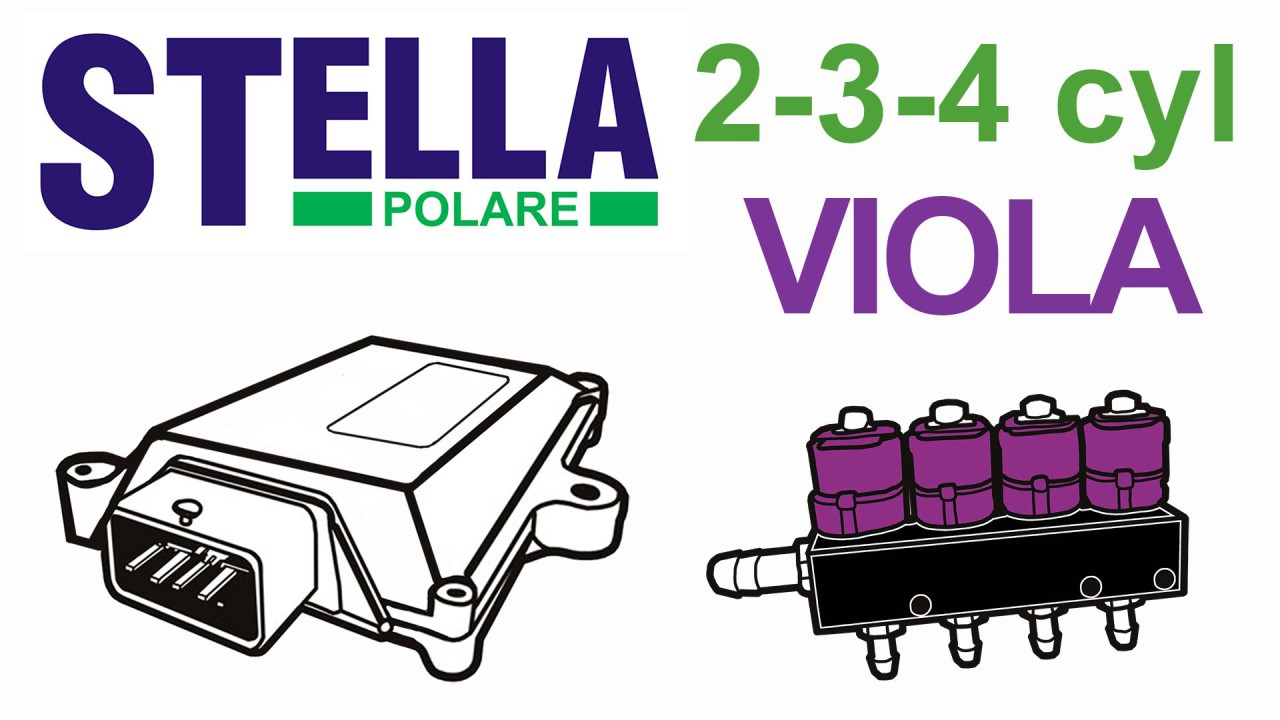 STELLA 2-4 C. Z WTR. VIOLA