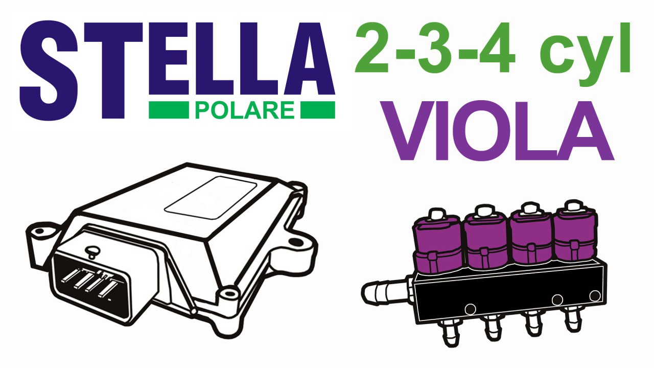 STELLA POLARE 2-4 C. VIOLA